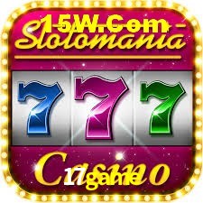 Live Casino 17game